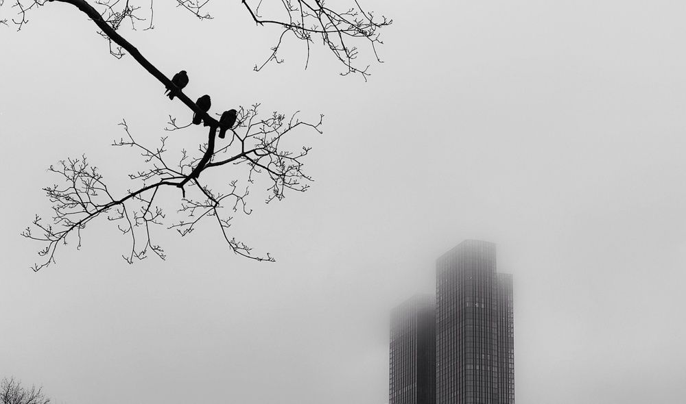 Photograph by Наталья Гущина