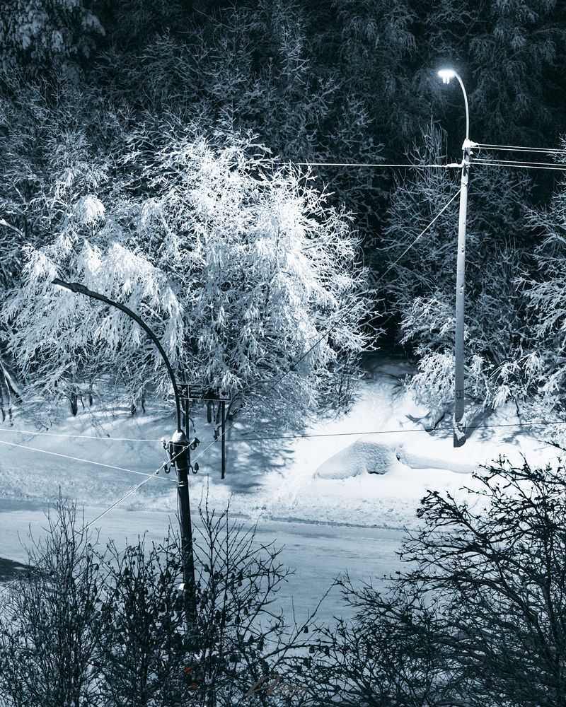 Photograph by Алексей Немчинов