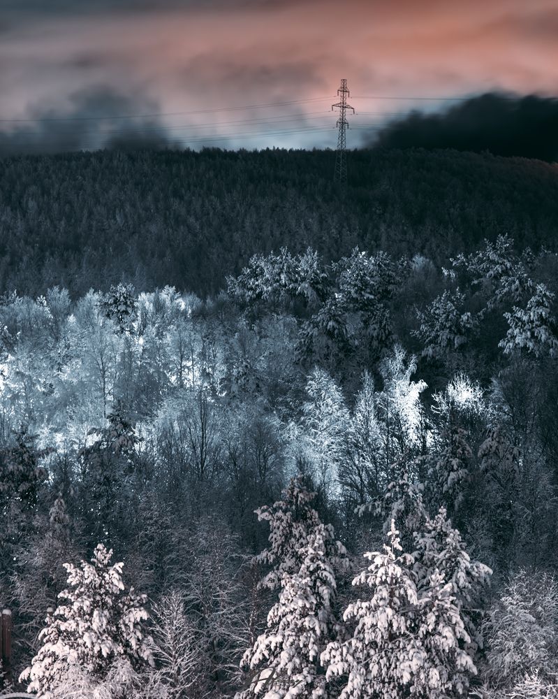 Photograph by Алексей Немчинов