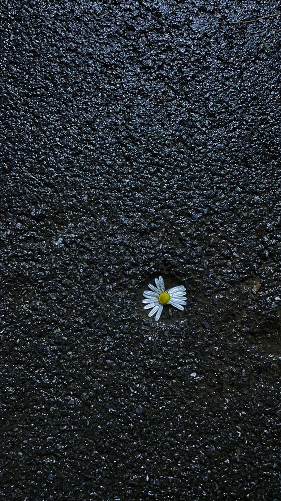 Photograph by Иван Кривоносов