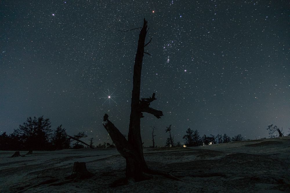 Photograph by Сагдиева Эльвира