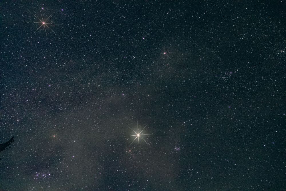 Photograph by Сагдиева Эльвира