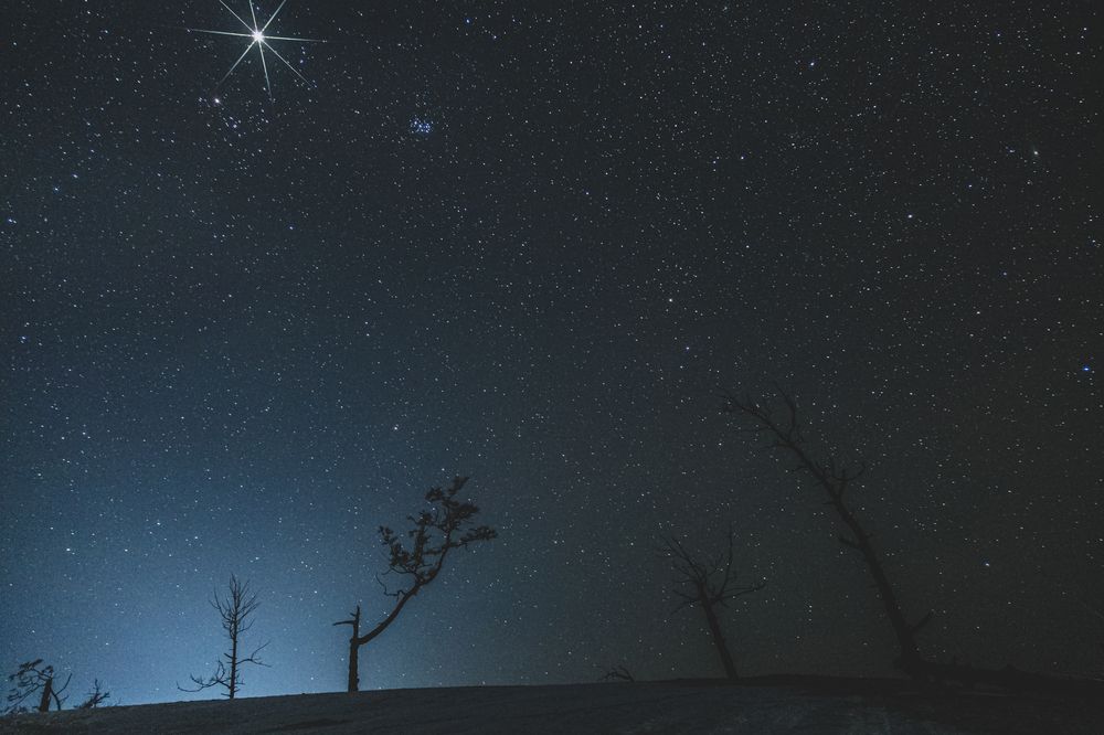 Photograph by Сагдиева Эльвира