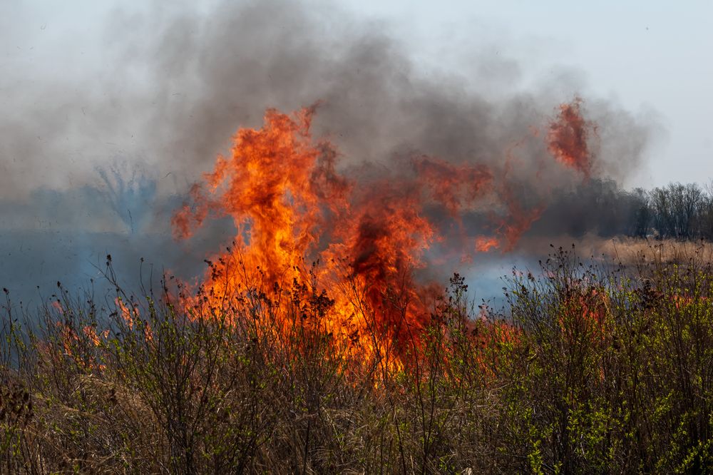 Photograph by Irina Luidinshina