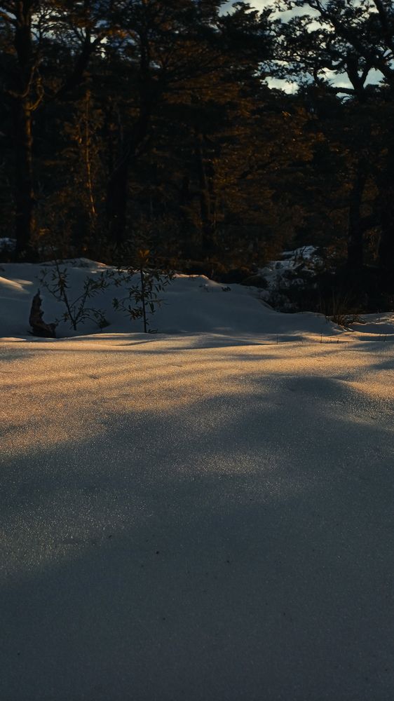 Photo #11914064