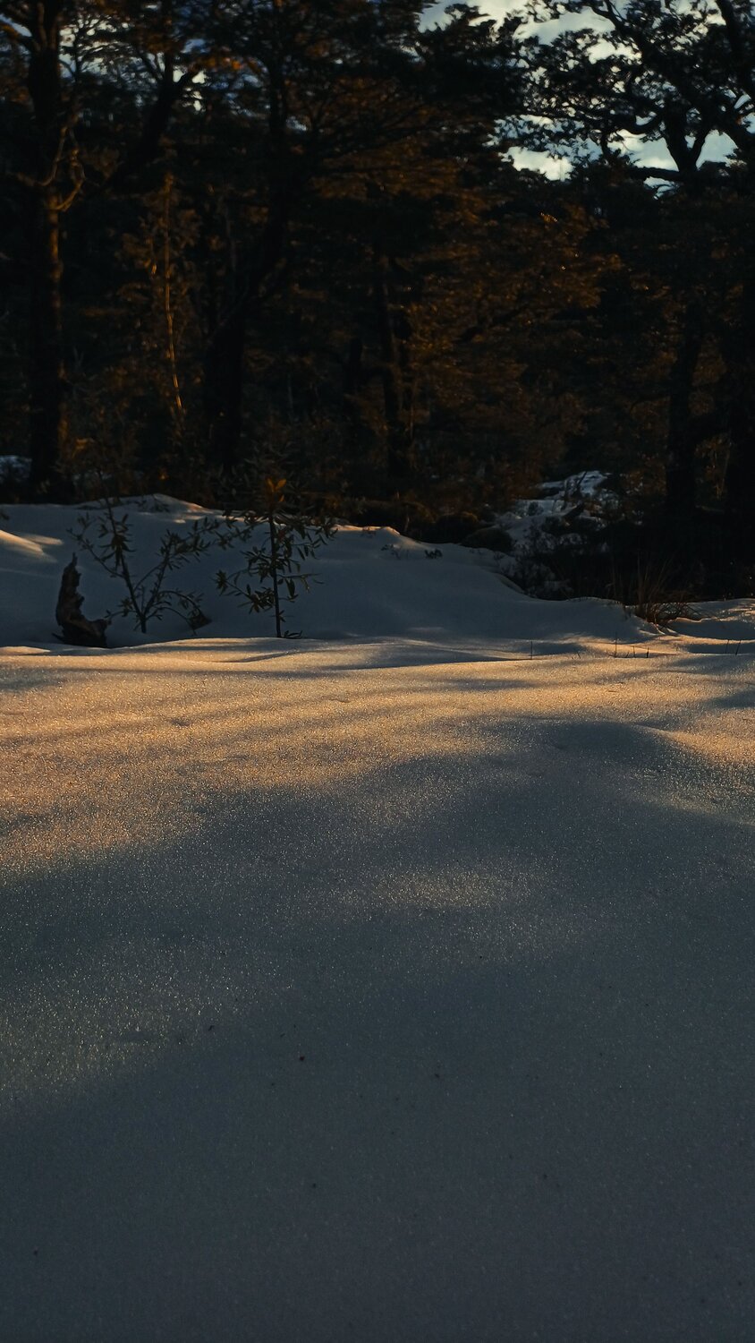 Photo #11914064