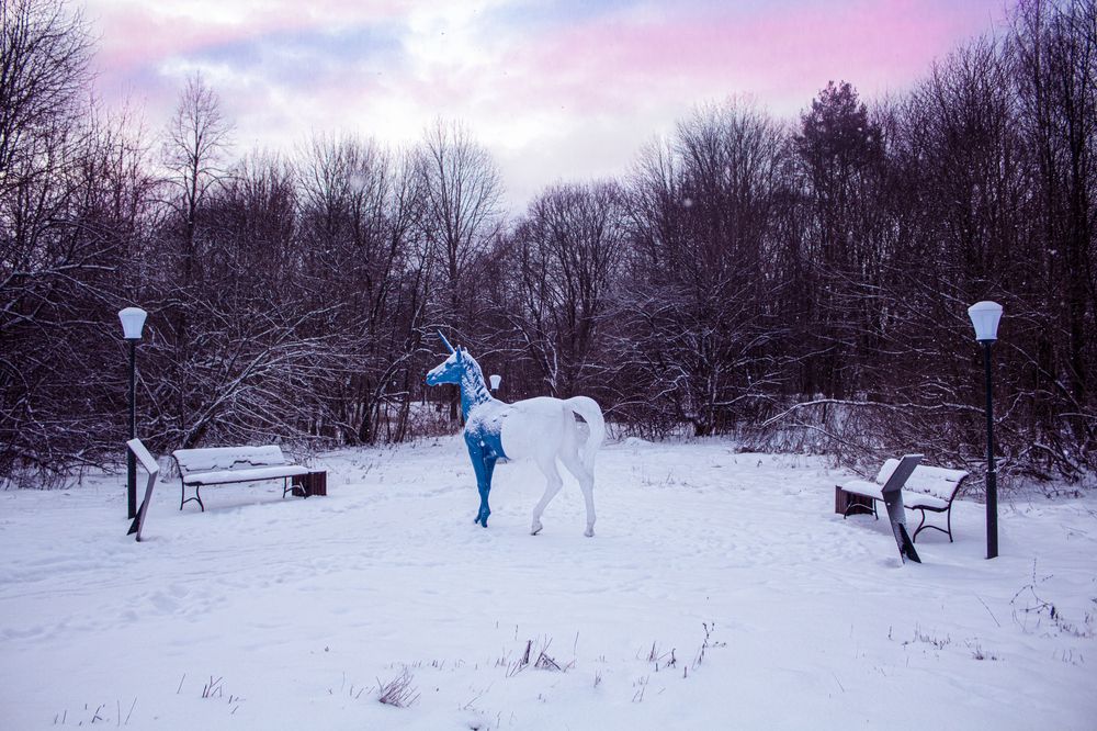 Photograph by Елена Фатьянова