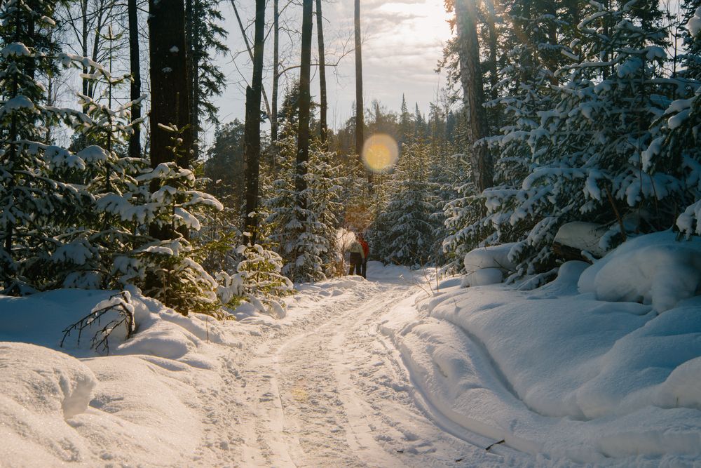 Photograph by Дмитрий Матвеев