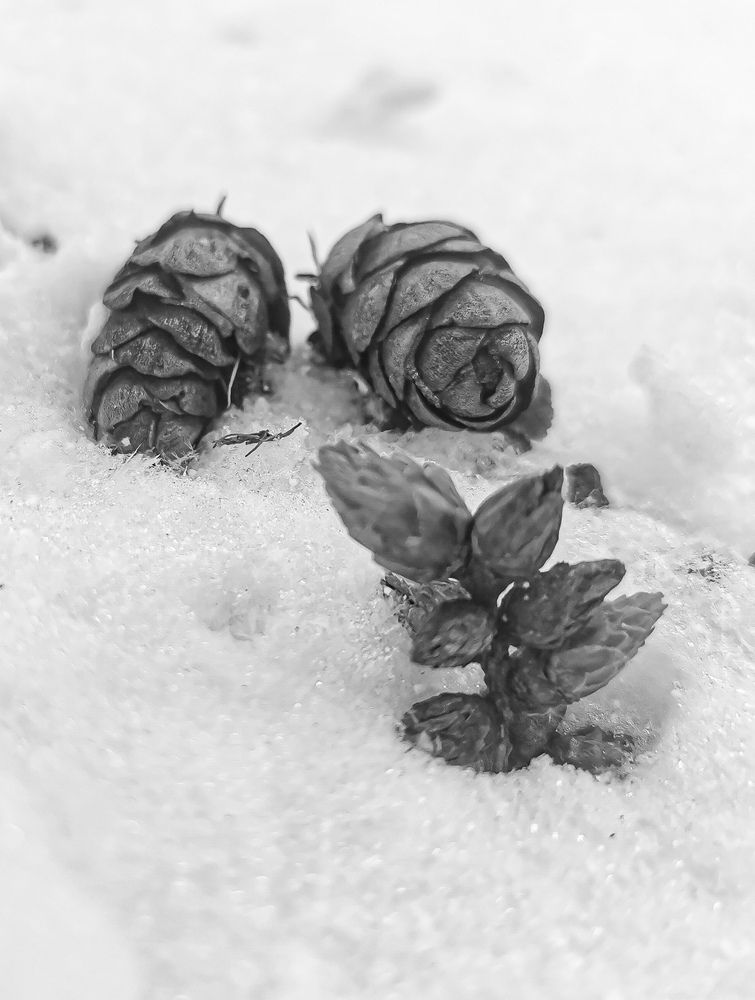 Фотография автора Виталий Гавронский