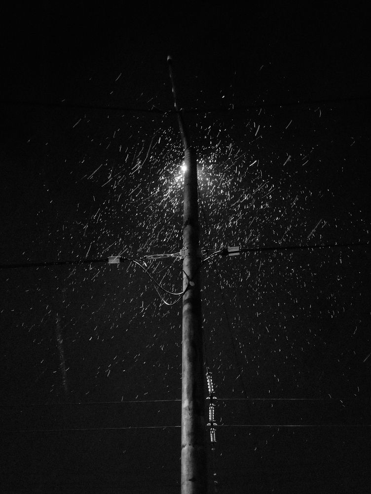 Photograph by Александр Соколович