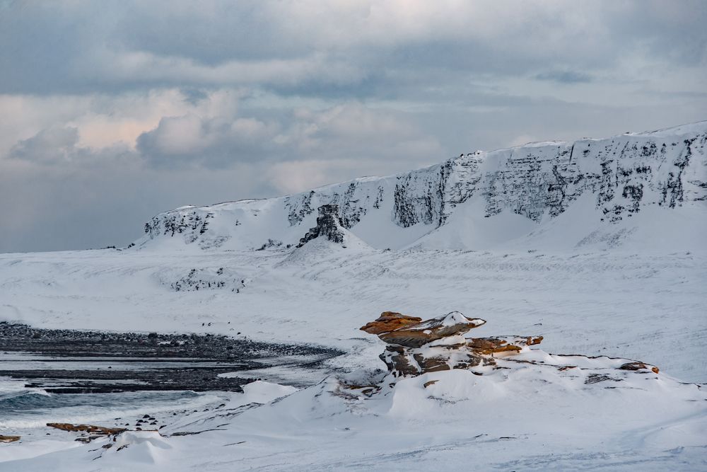 Photograph by Ксения Далишнева