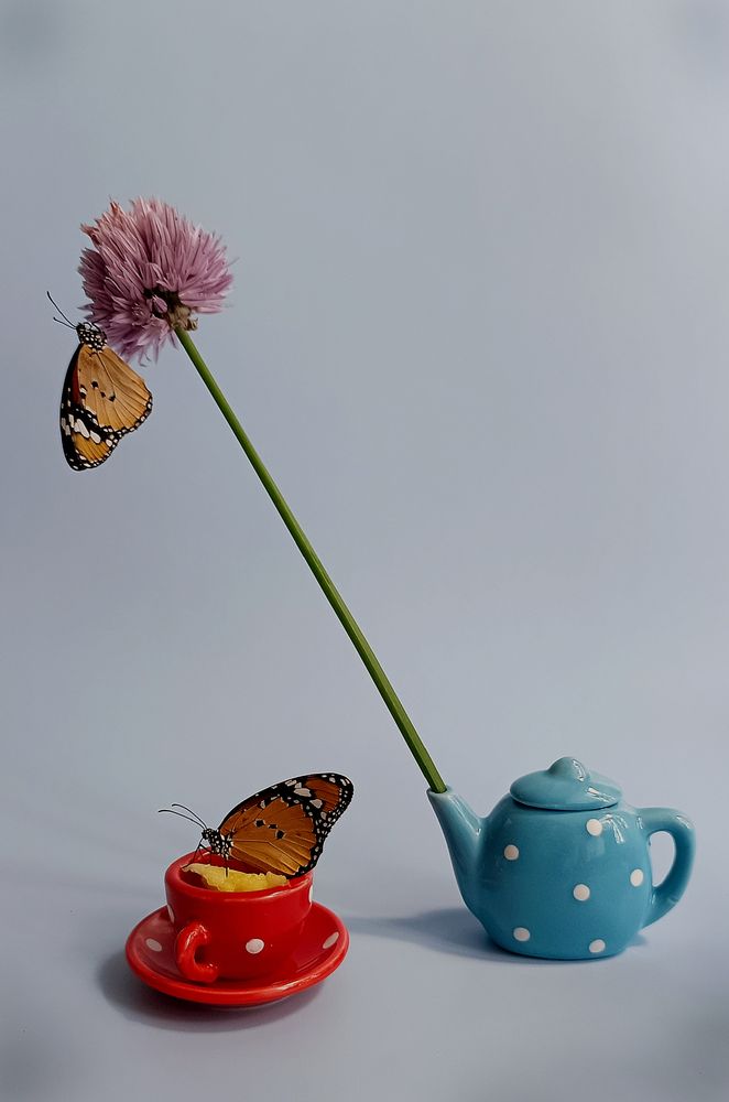 Photograph by Наталья Шумилова