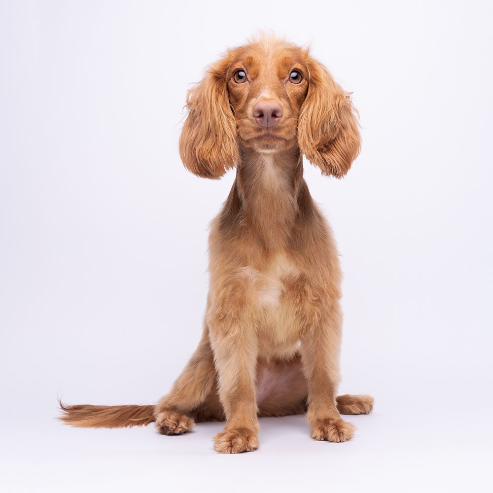 Фотография автора Bernard Sim