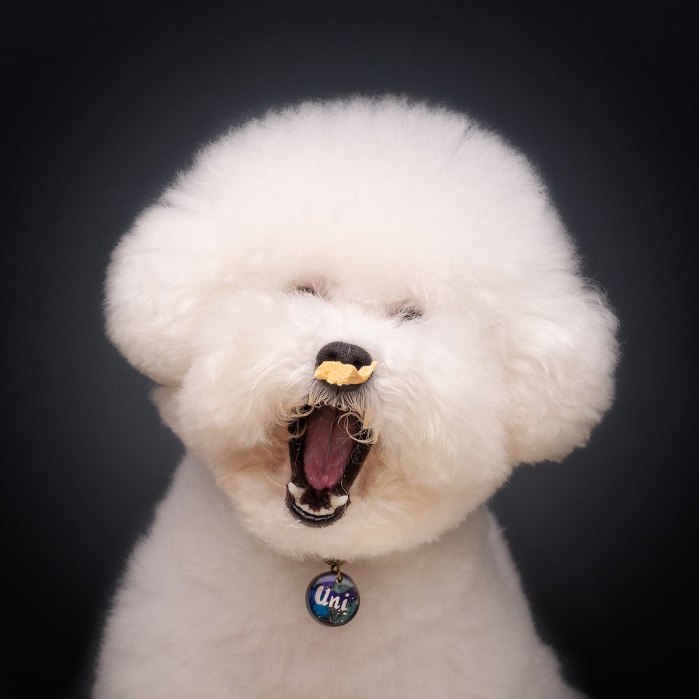 Фотография автора Bernard Sim