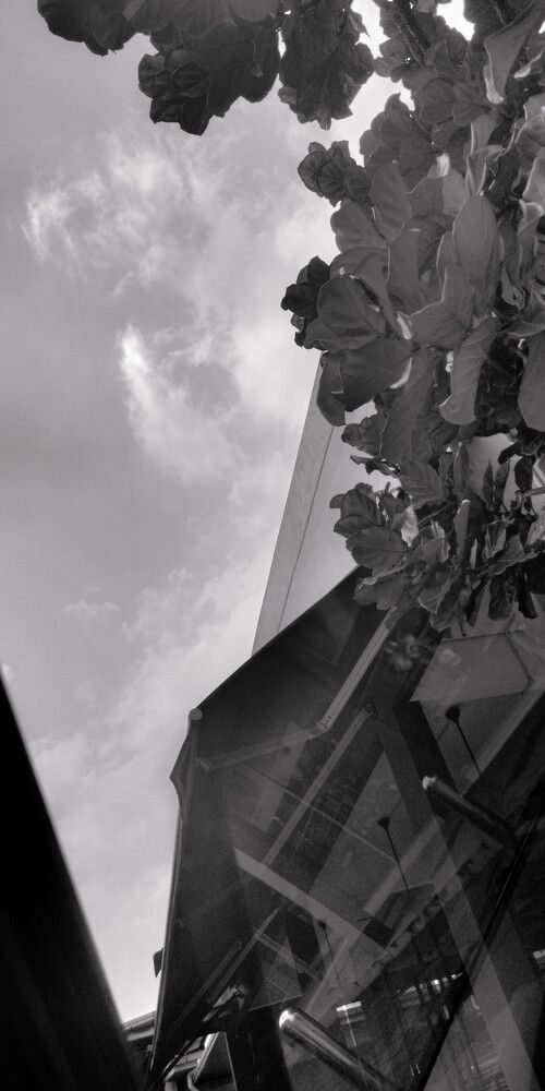 Skyward Perspectives