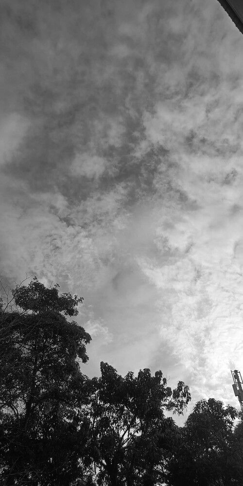 Nature and Signals