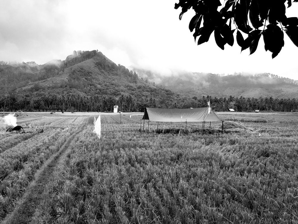 Фотография автора Zulfa