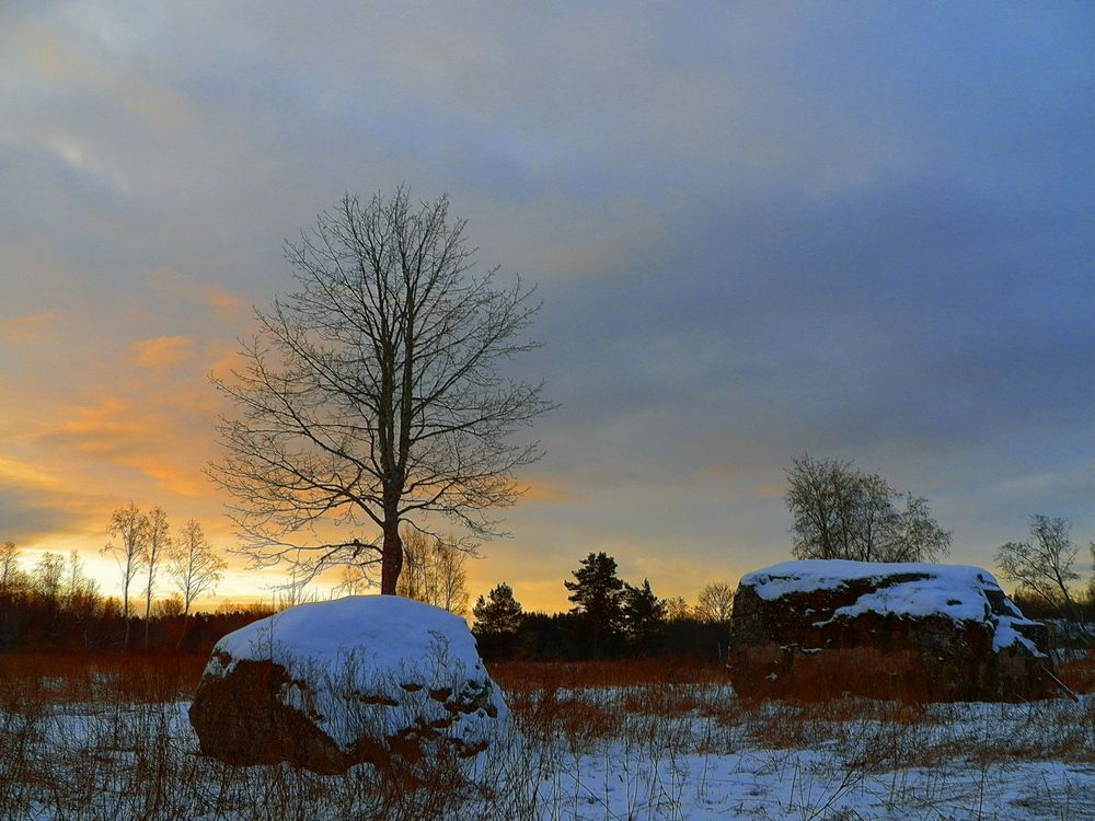 Фотография автора Jevgeni Filimonov