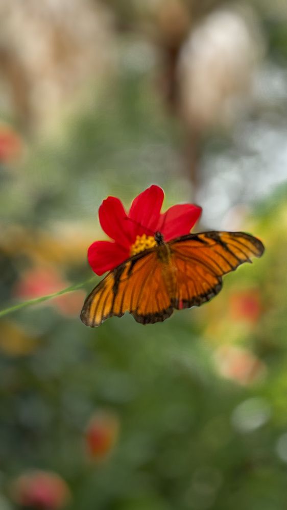 Photograph by Maria Volnova