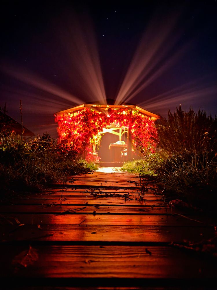 Путь к савану