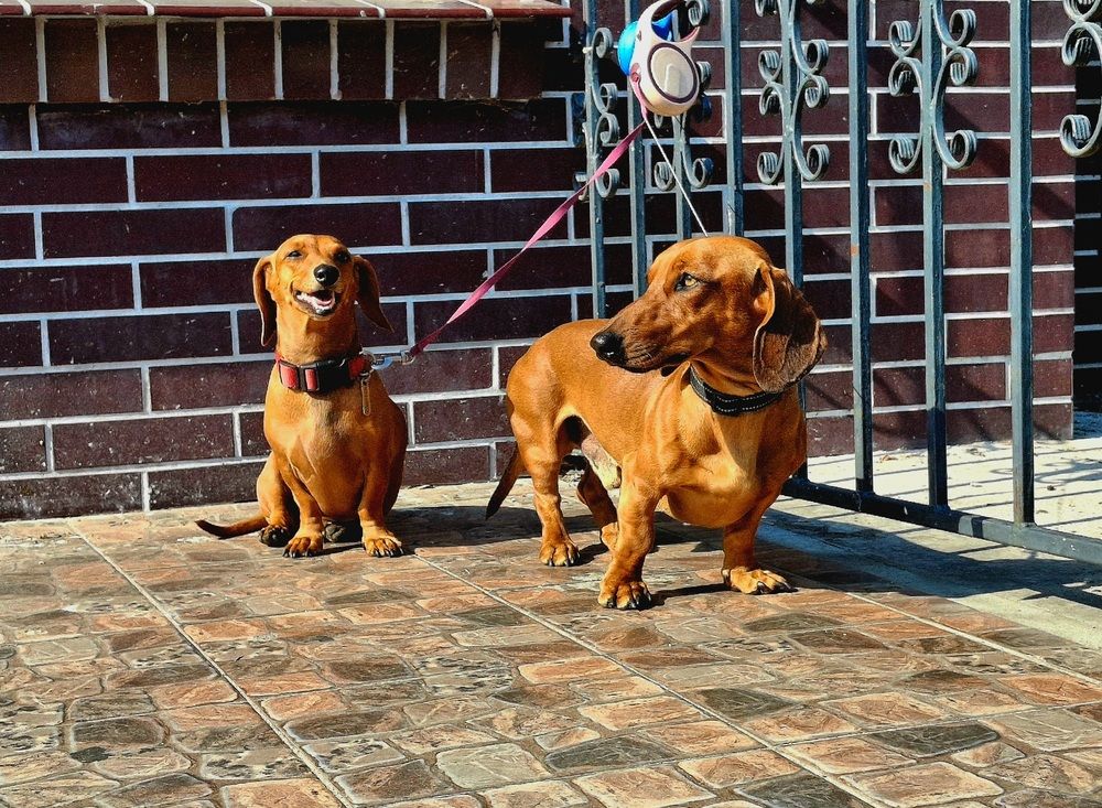 Photograph by Ирина Саттарова