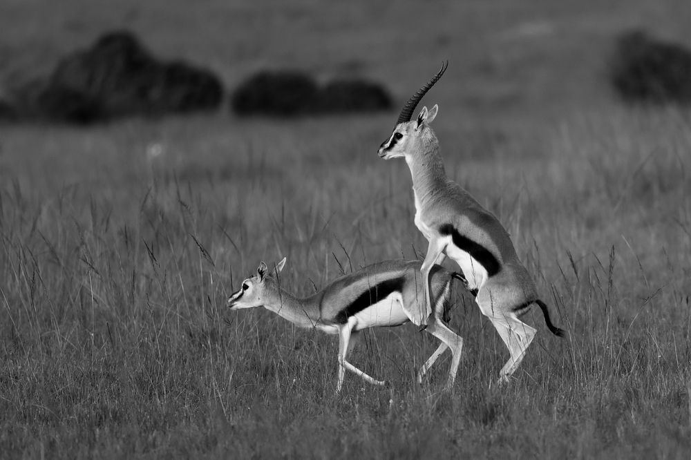 Photograph by Sanjay Risbood