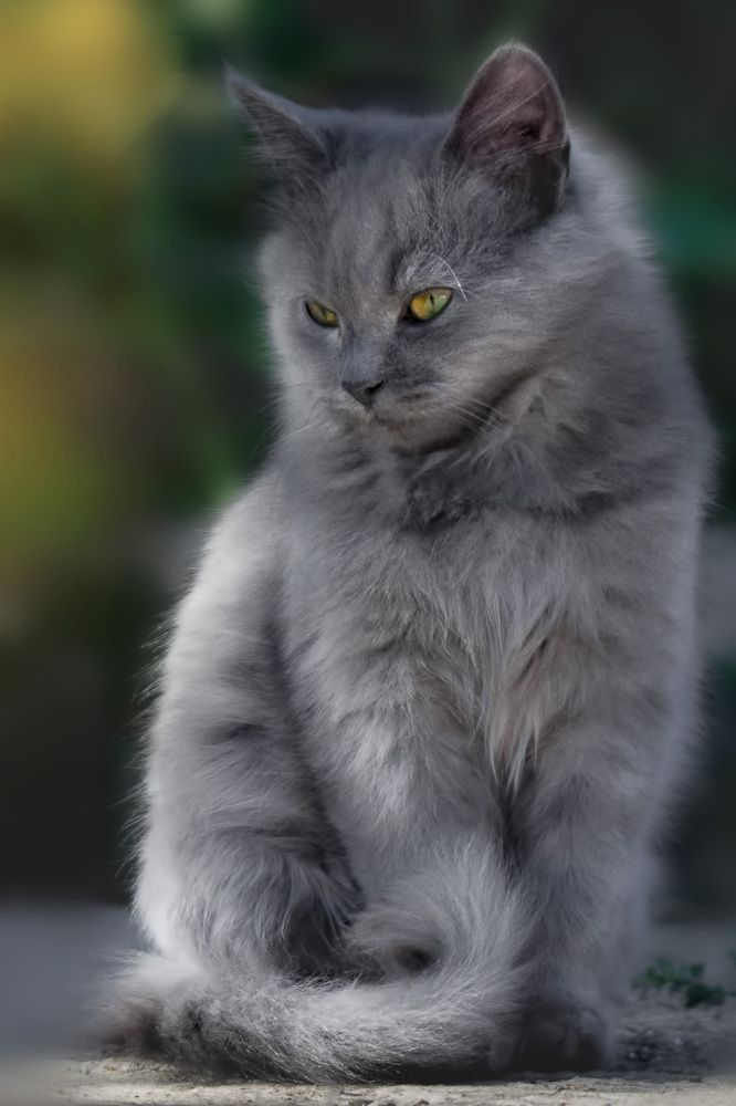 Photograph by Оджи Мила