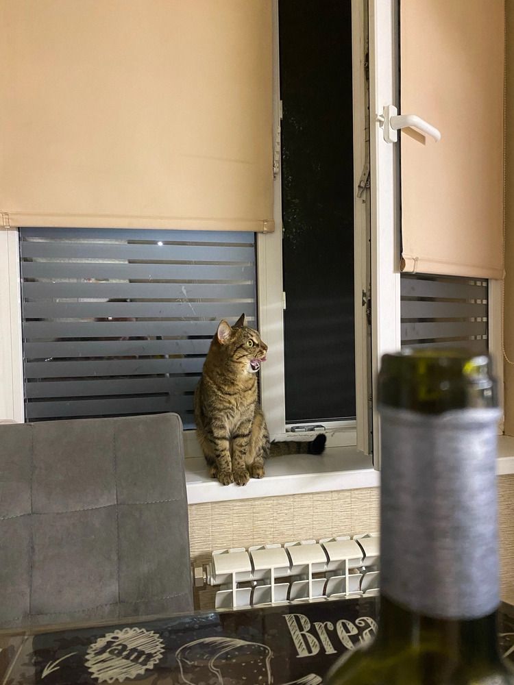 Photograph by Олеся Чистова