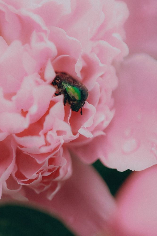 Photograph by Анна Балова