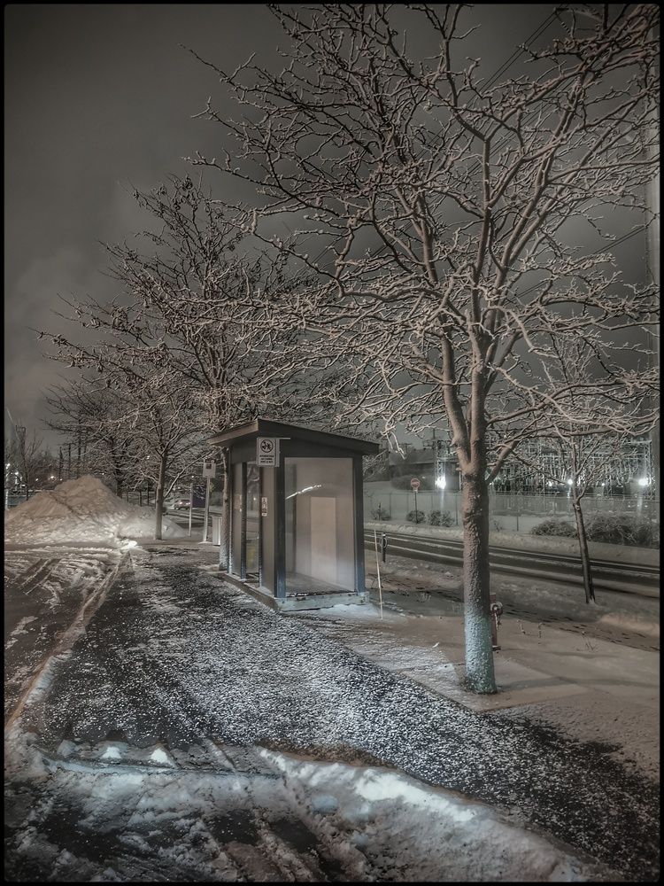 Photograph by Veremeyeva Marina