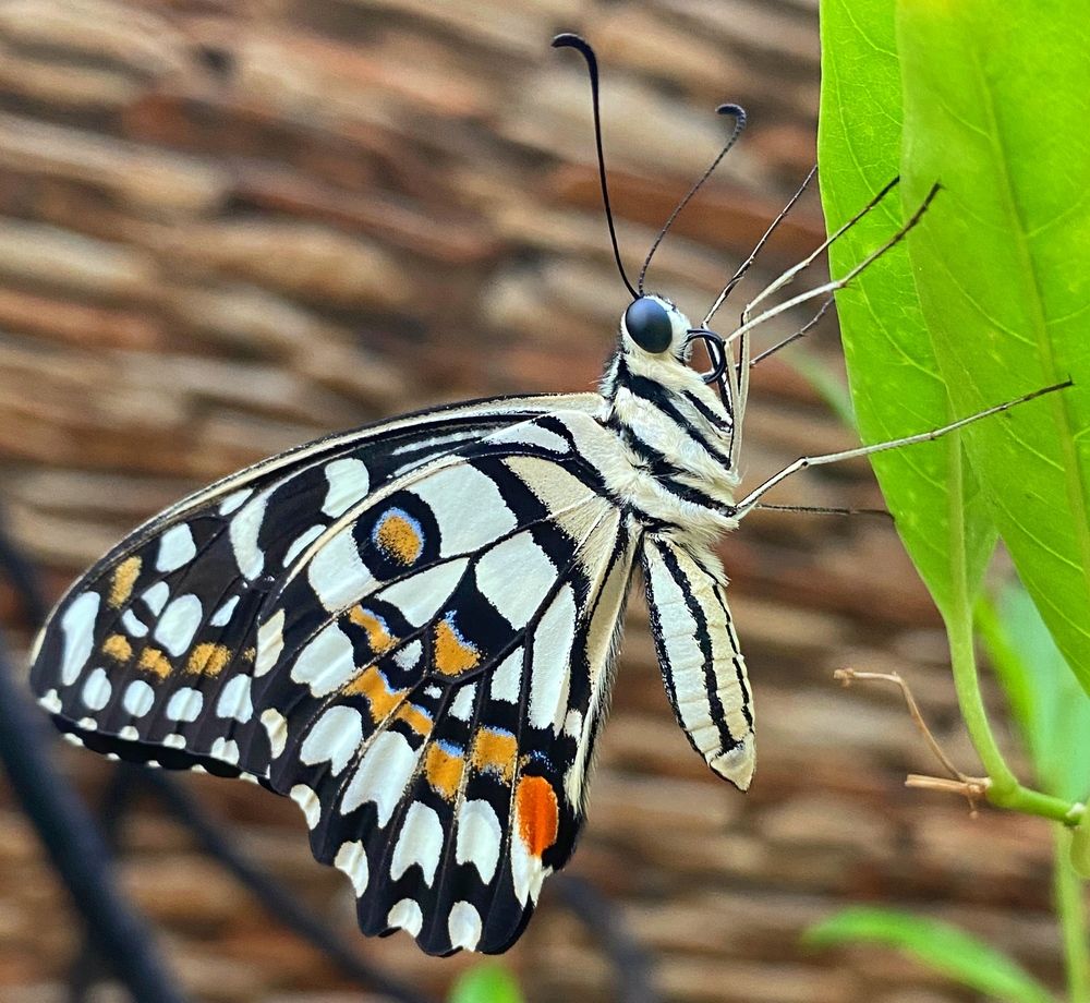 Фотография автора Gaurav Khosla