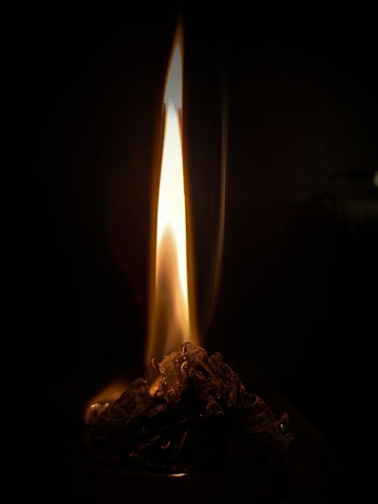 Фотография автора Татьяна Шахова