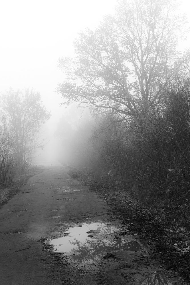 Photograph by Владимир Леликов-Кузьменко