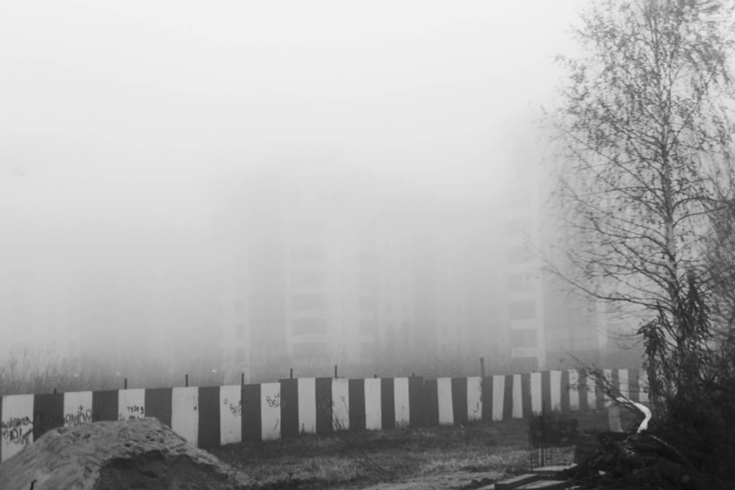 Фотография #11914497
