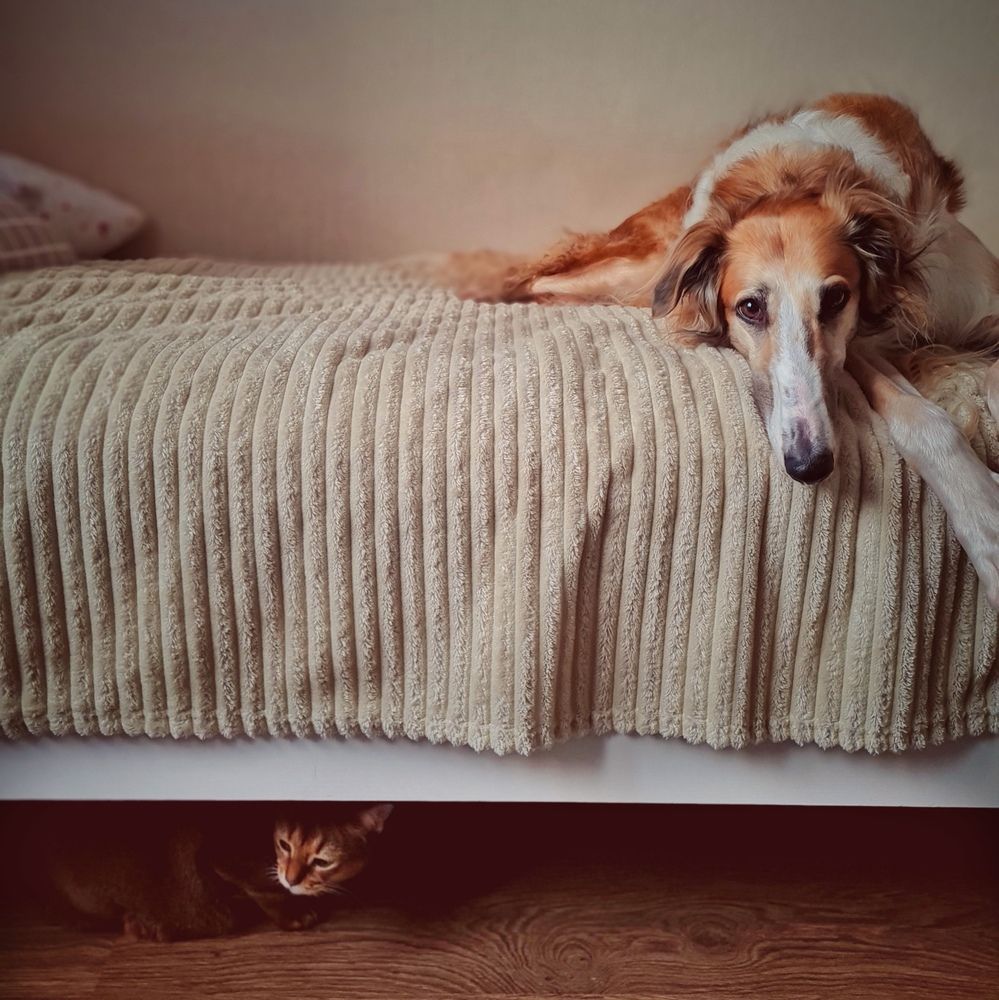 Поссорились.