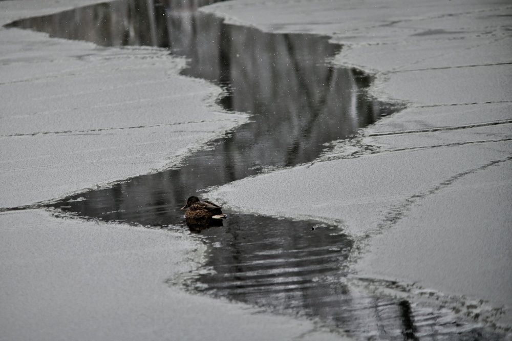 Photograph by Владимир Леликов-Кузьменко