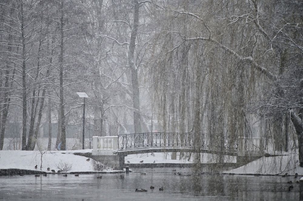 Photograph by Владимир Леликов-Кузьменко