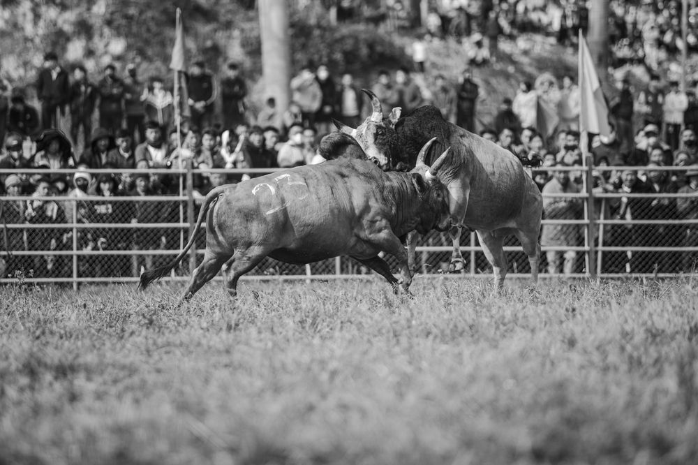 Photograph by Trần Dũng