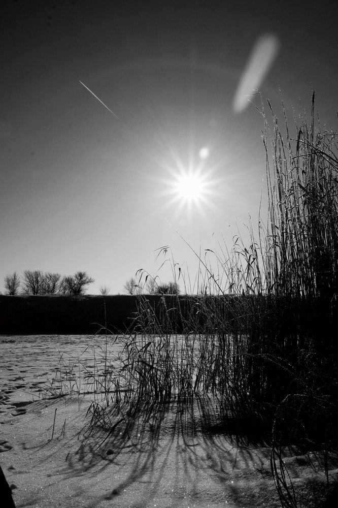 Photograph by Яна Истоцкая