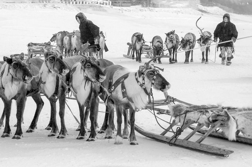 Photograph by Анна Орманжи