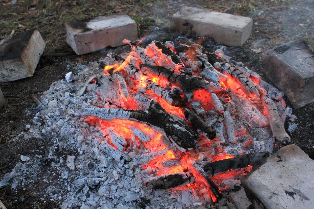 Photograph by Olga Bagaeva