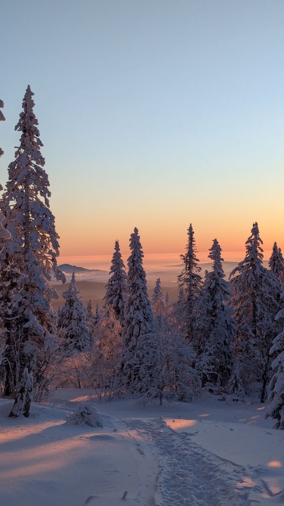 Фотография автора Алевтина