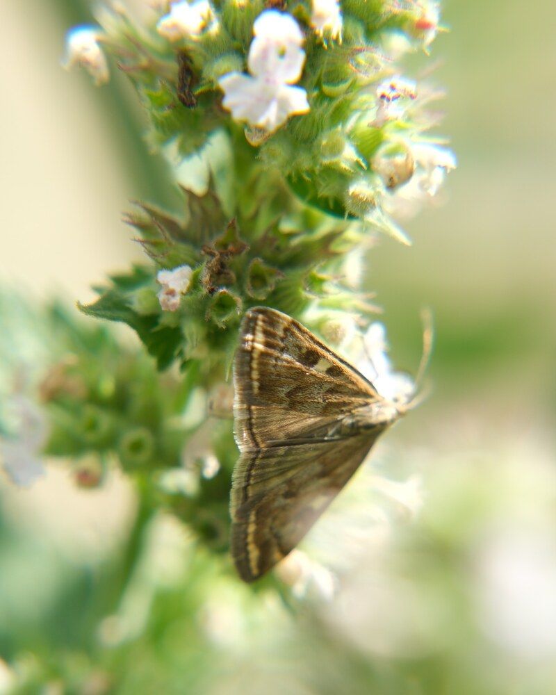 Photograph by Яна Истоцкая