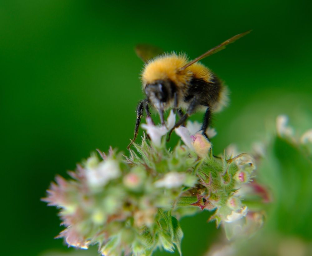 Photograph by Яна Истоцкая