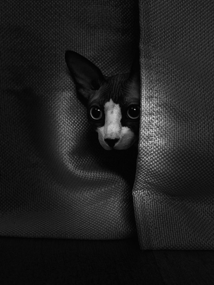 Photograph by Ольга Осинина