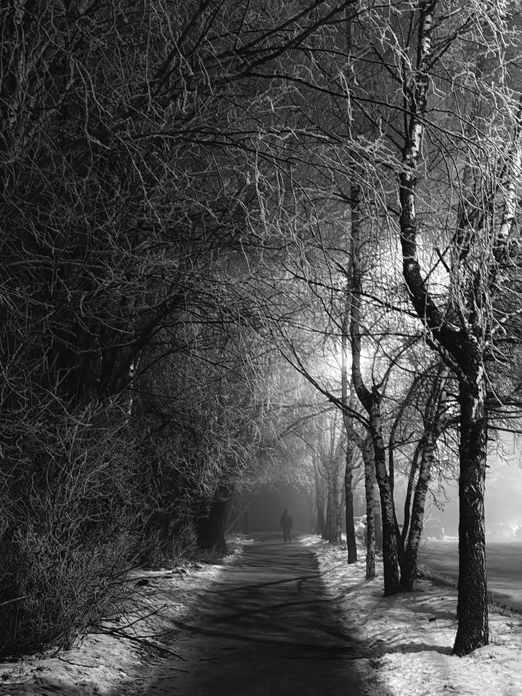 Photograph by Ольга Осинина