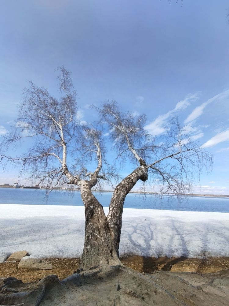 Photograph by Наталья Рябченко