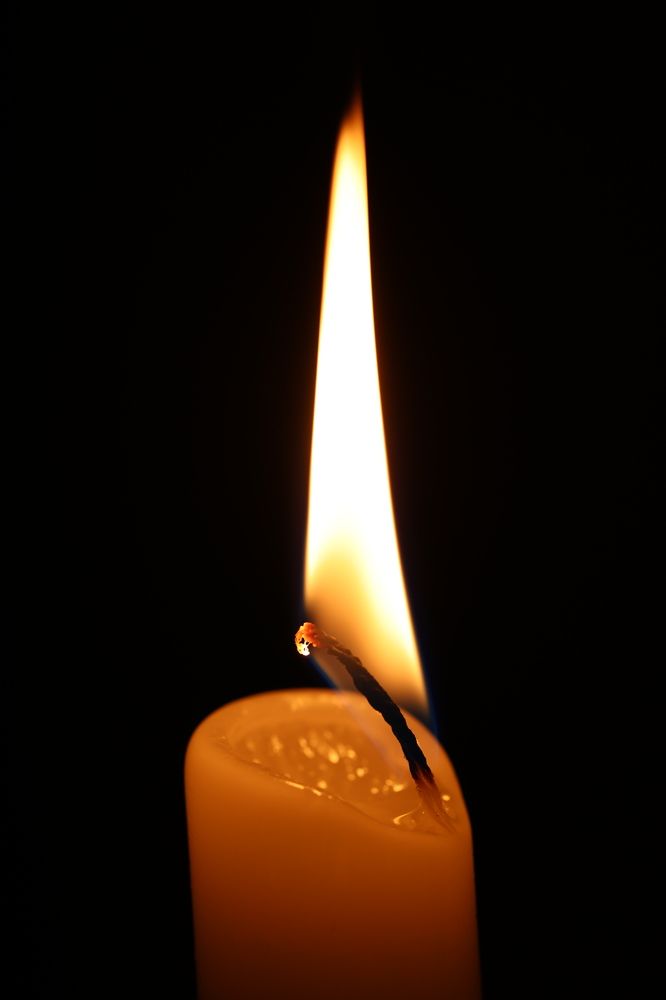 Photograph by Щепанов Дмитрий