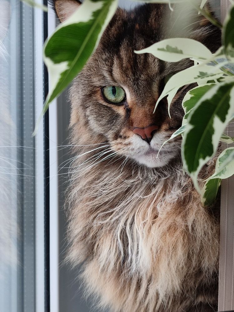 Photograph by Анастасия Дросу