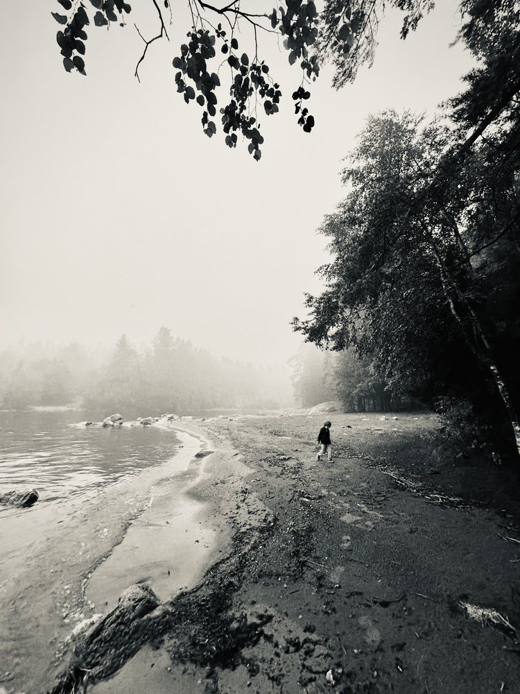 Photograph by Алина Сухова